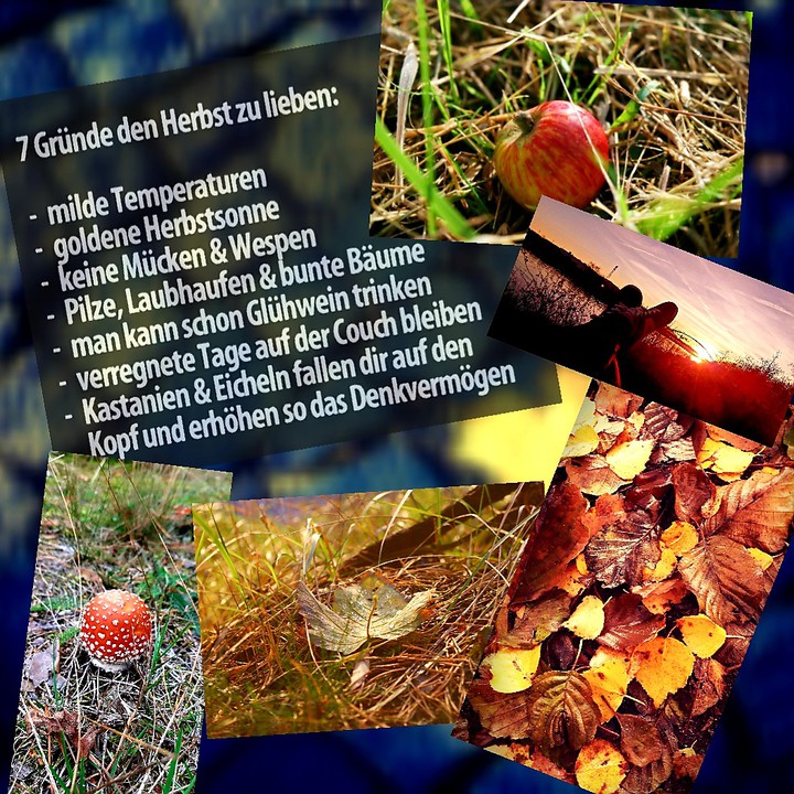 ENDLICH Herbst