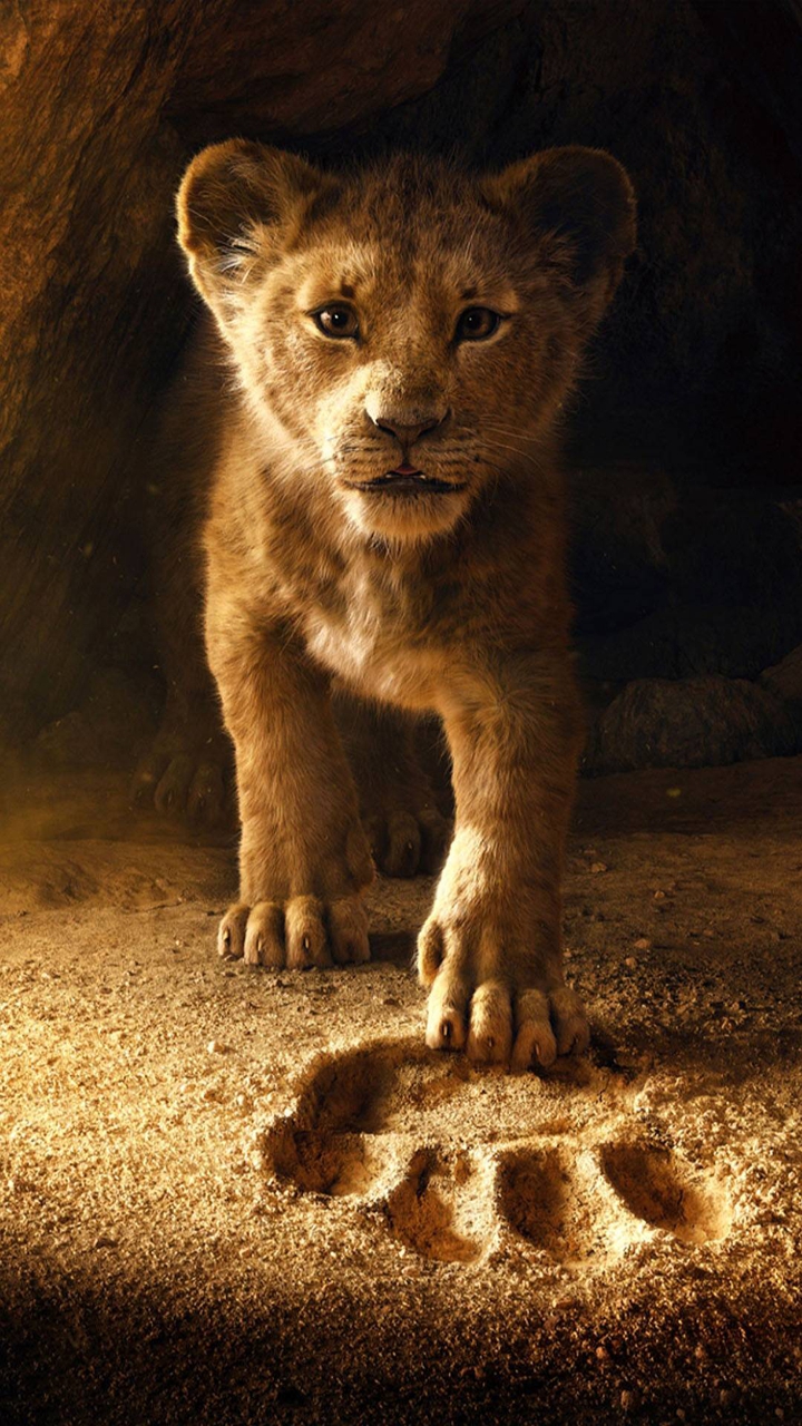 King Lion