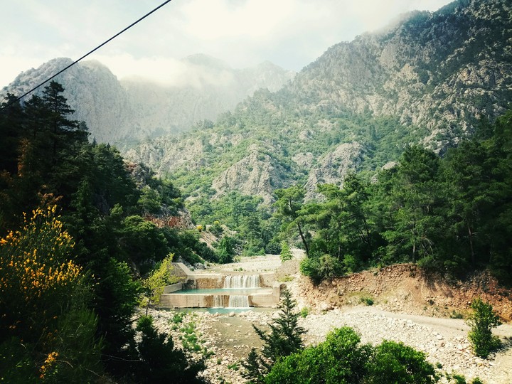 nature