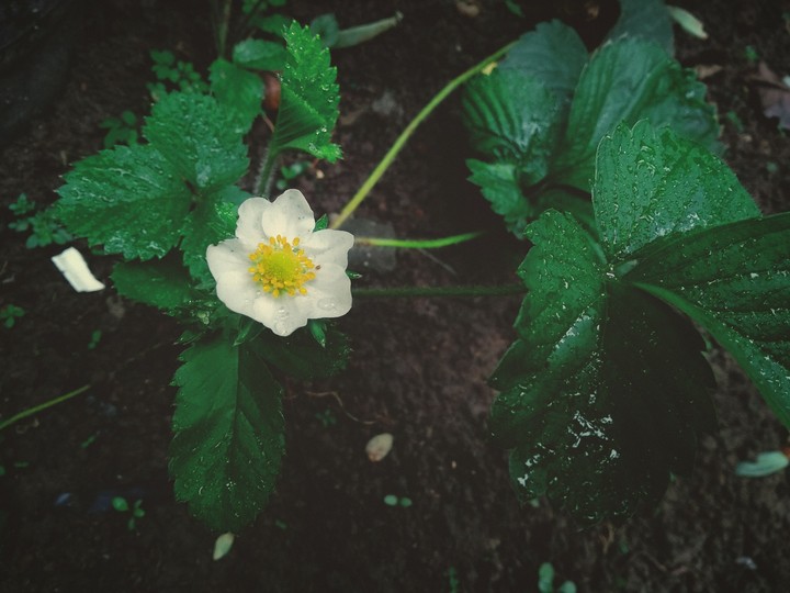 natureza é linda!