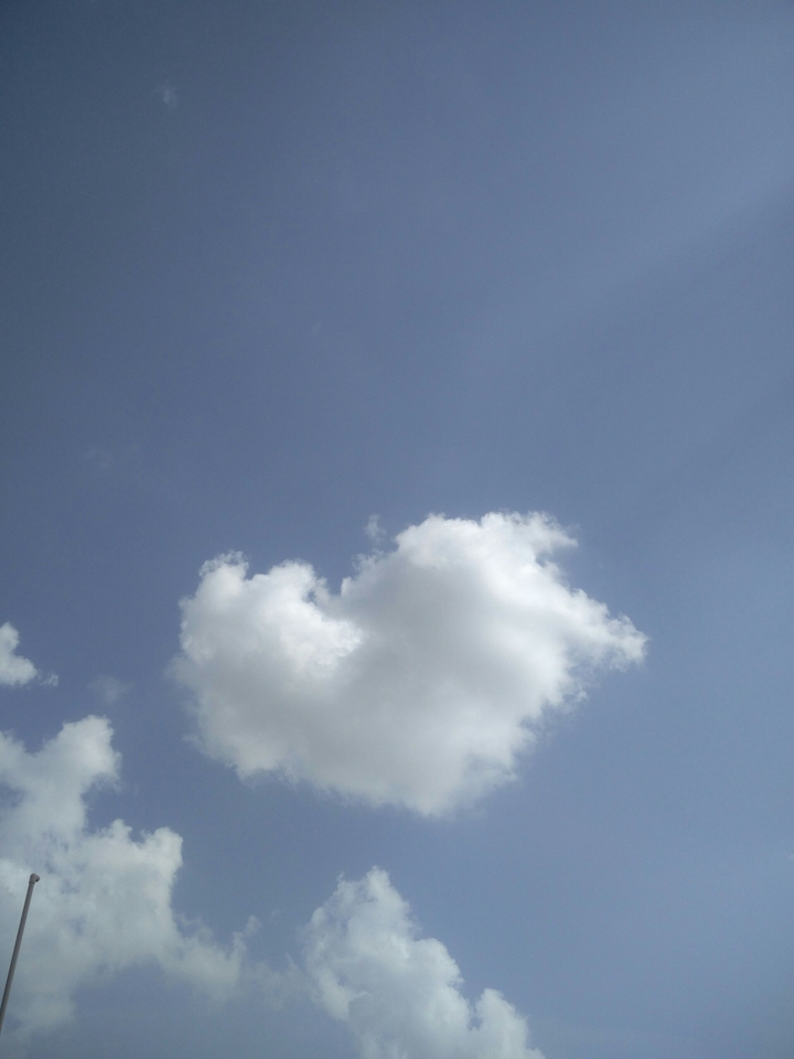 Love is in the air