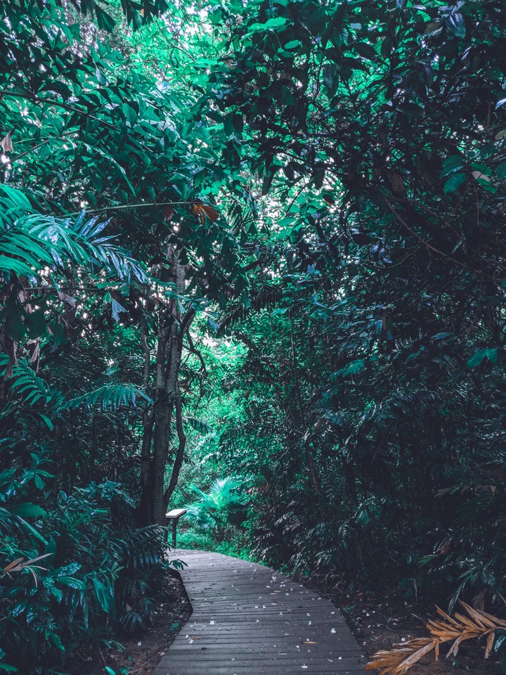 Pathway