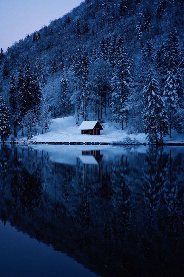 frost