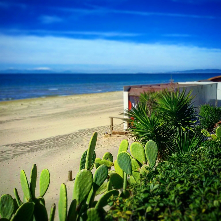 Spiaggia di Follonica
