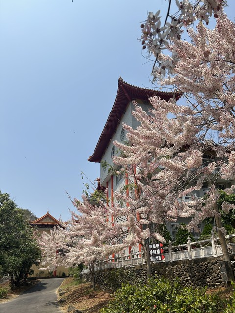 Building, temple Hintergrundbilder