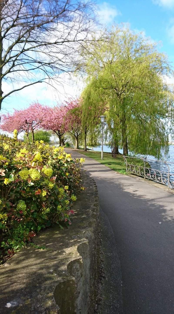 Spring in Hamburg
