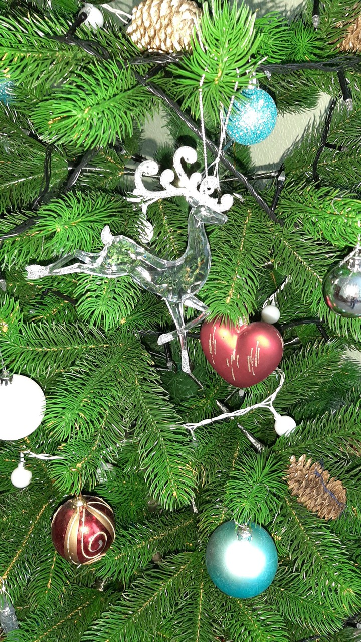 Новый год, Christmas