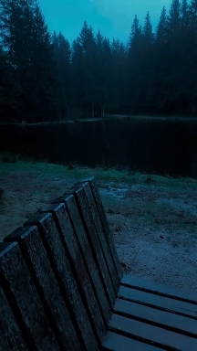 Aesthetic