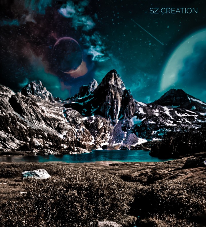 night nature