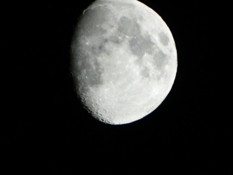 Moon