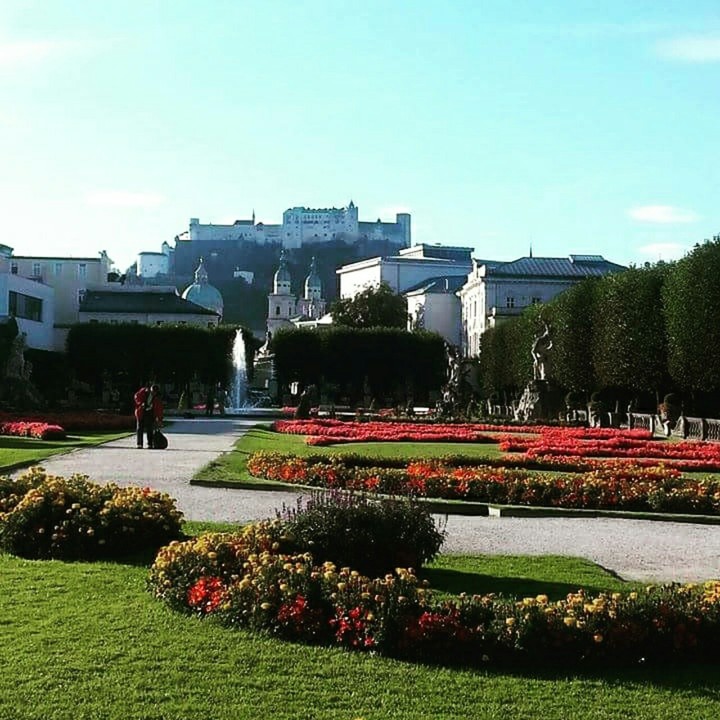 beautiful garden