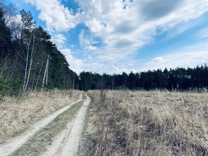 nature
