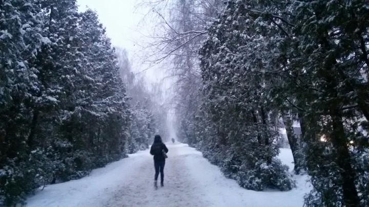on walk