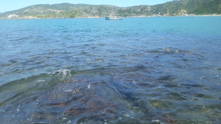 Mar de Arraial