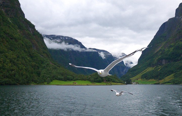 nature