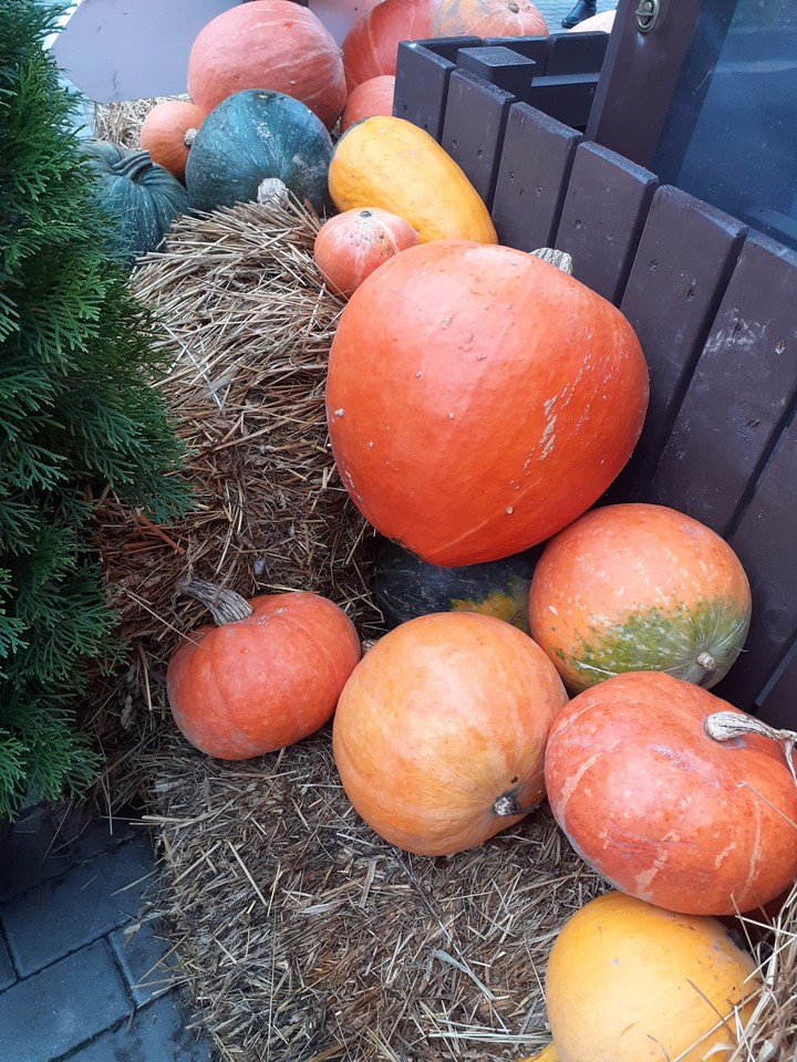 Pumpkins
