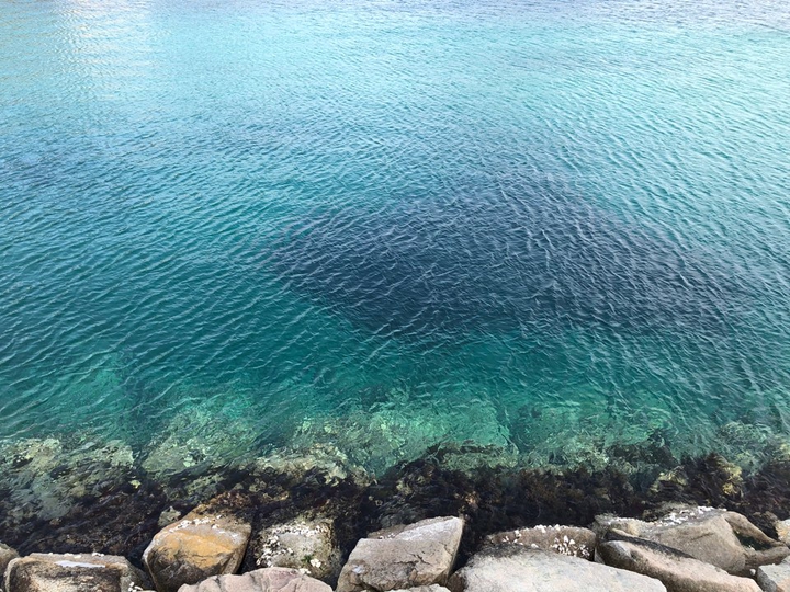 Sea