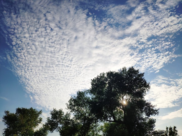 Summer sky