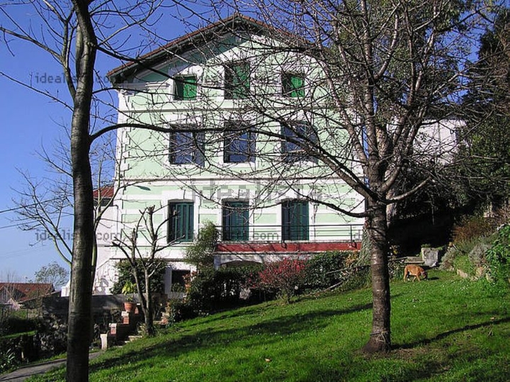 Ortuella