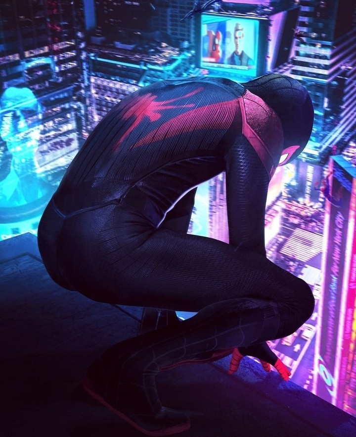 Into the spider verse