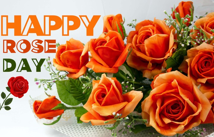 Happy Rose day