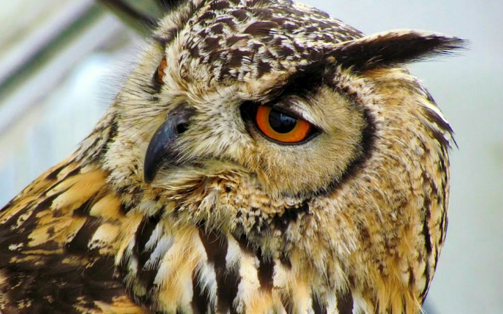 Look into my eyes