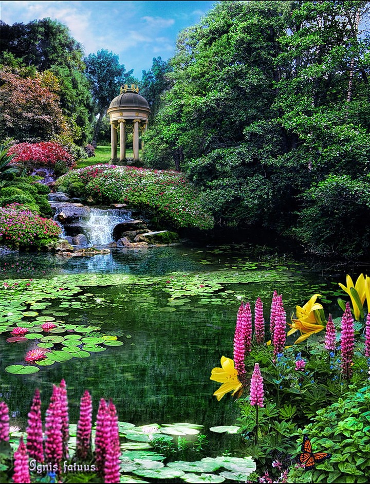 garden
