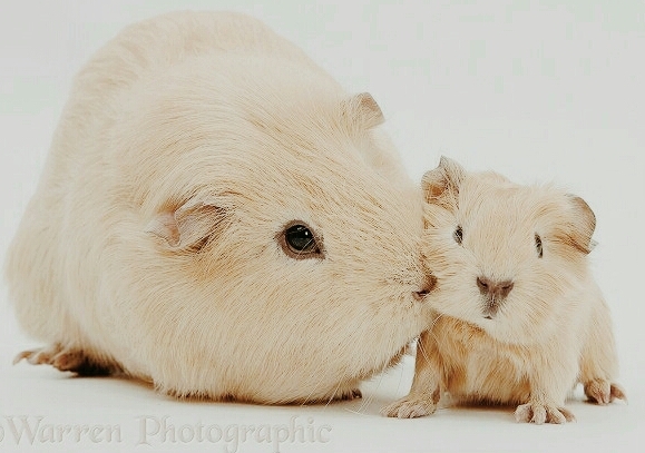 ☺❤
