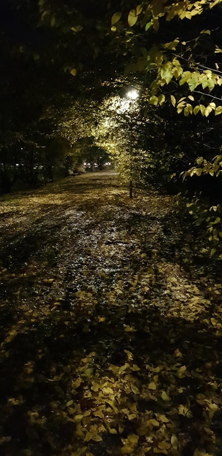 Rain