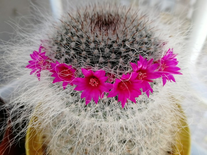 #happyness #springcolours #greenthumb