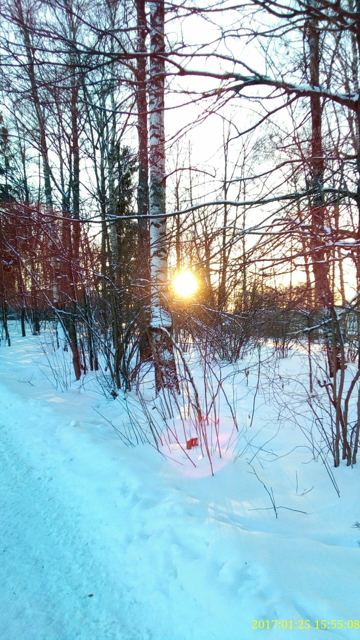 winter
