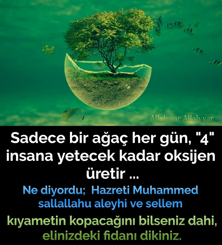 Hz.Muhammed s.a.v sözleri