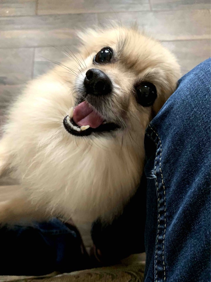 #Feliz