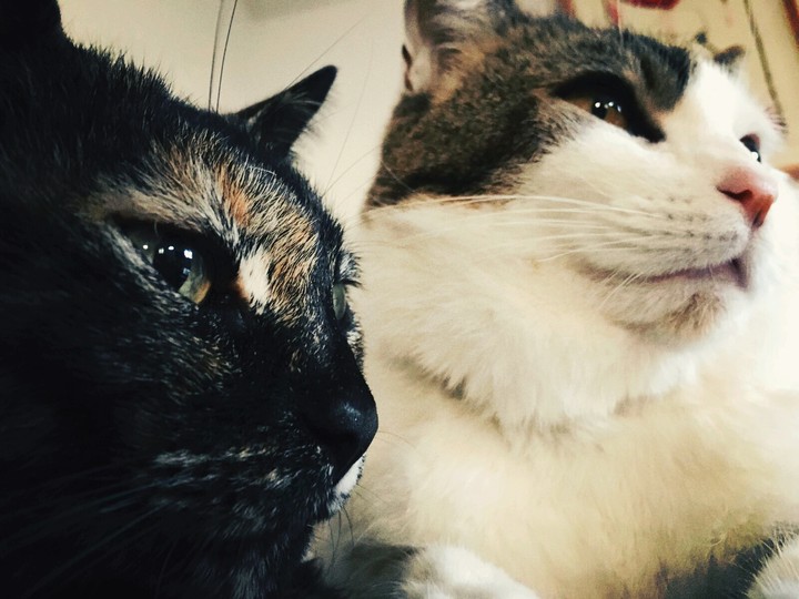 Miss Sole & Sir Fito