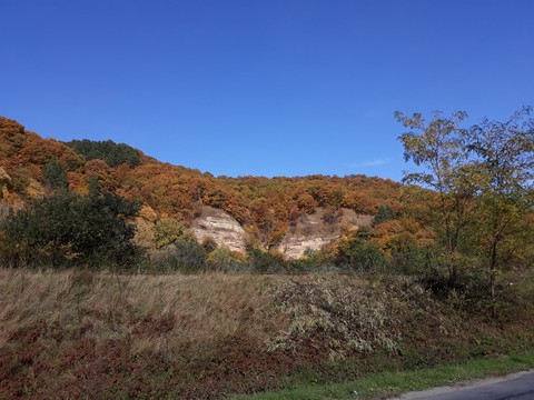 Toamna