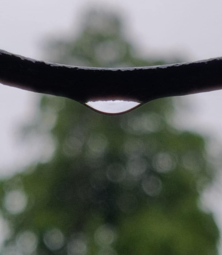 Drop