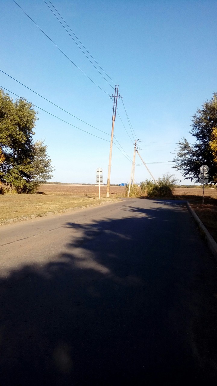 В тени