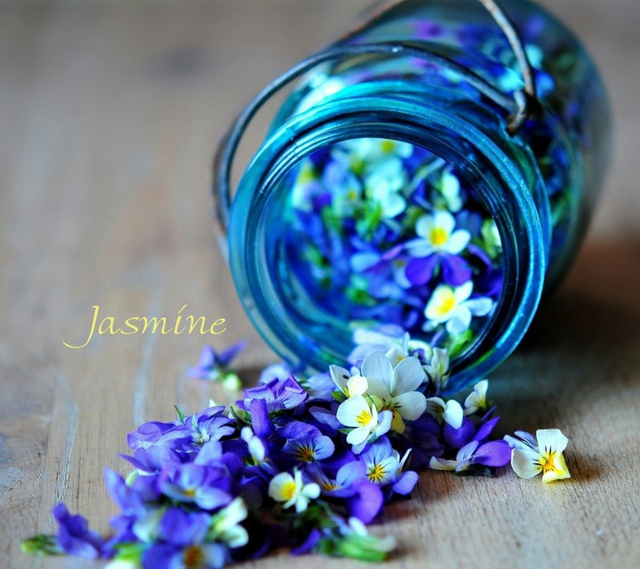 Beautiful jasmines