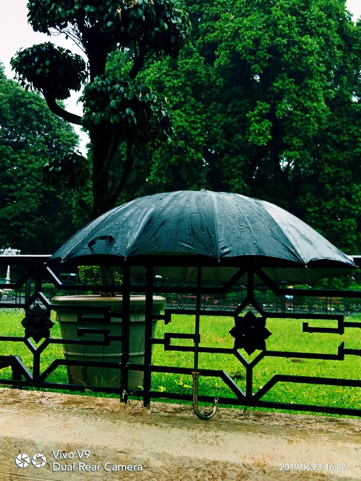 rain