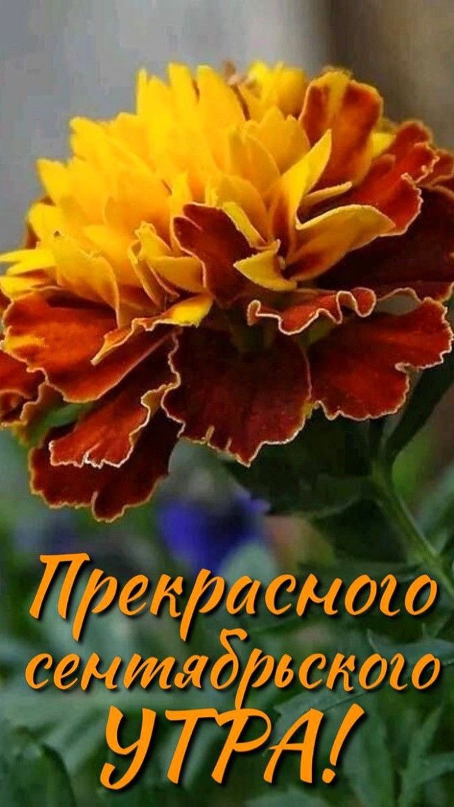 приятностей..