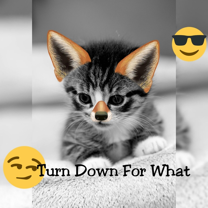 Turn Down For What!!! xDDD
