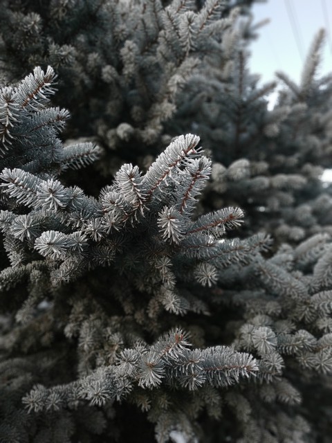 winter