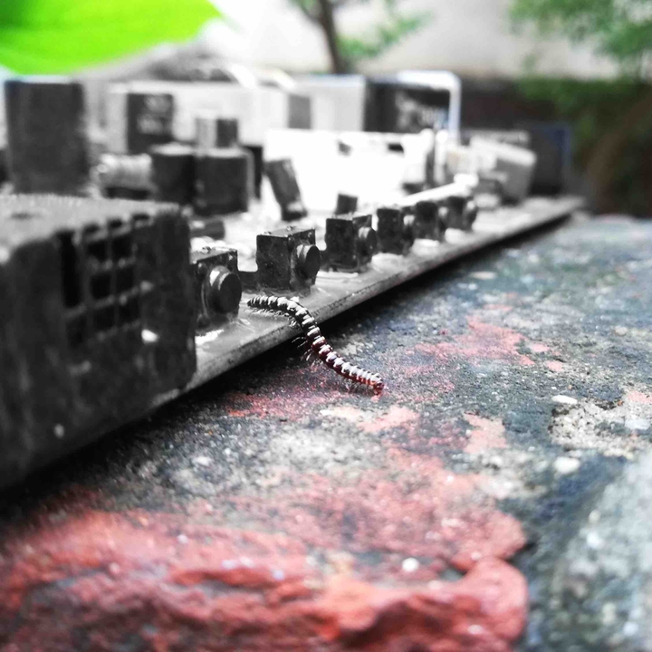 coming closer to nature