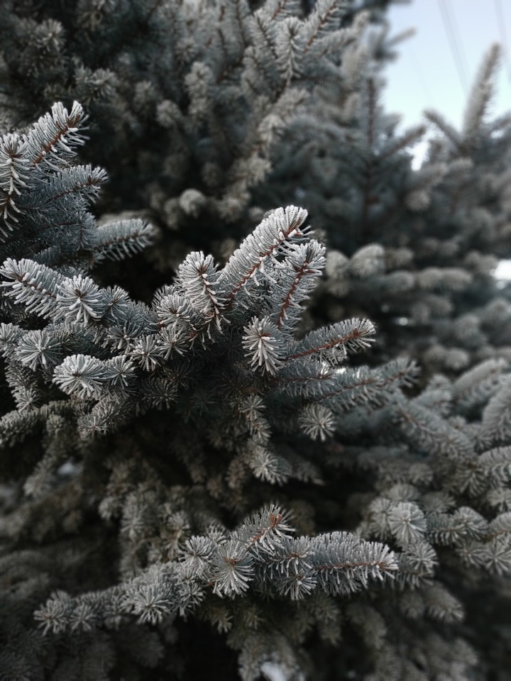 winter