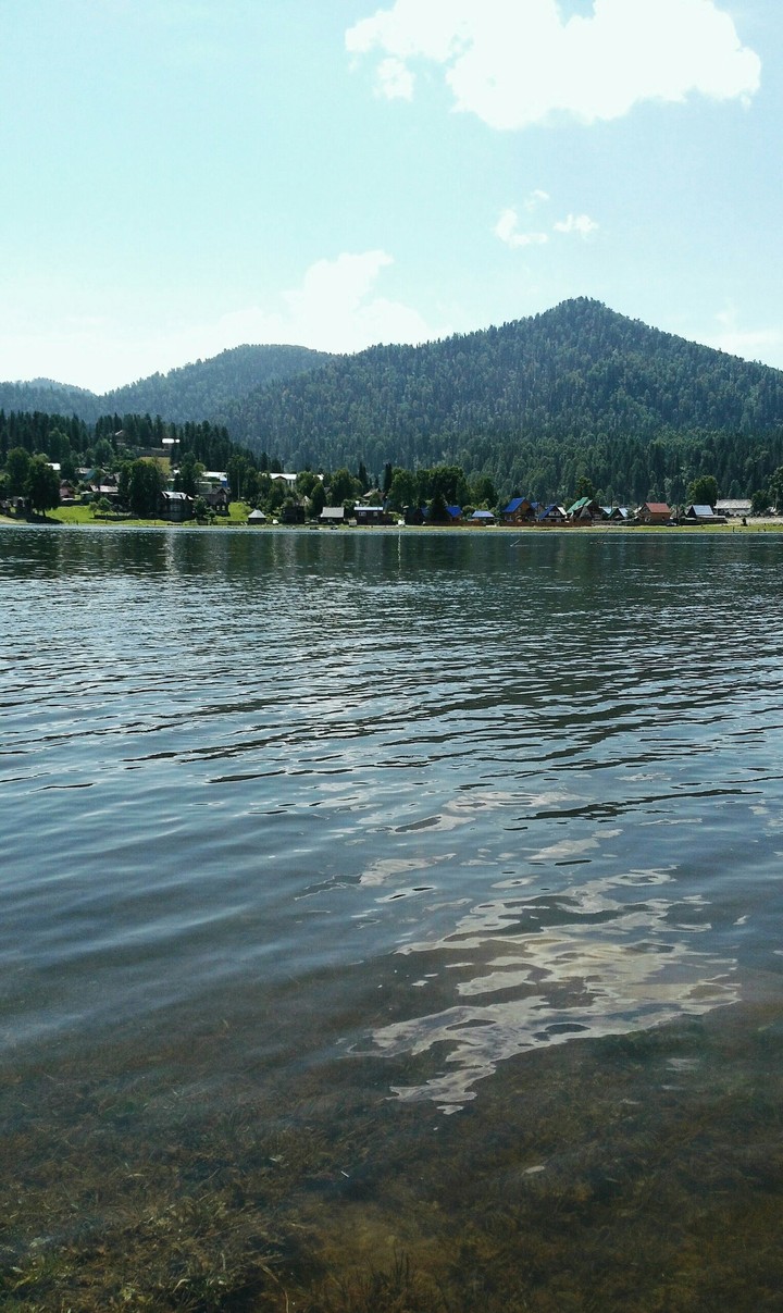 Altay