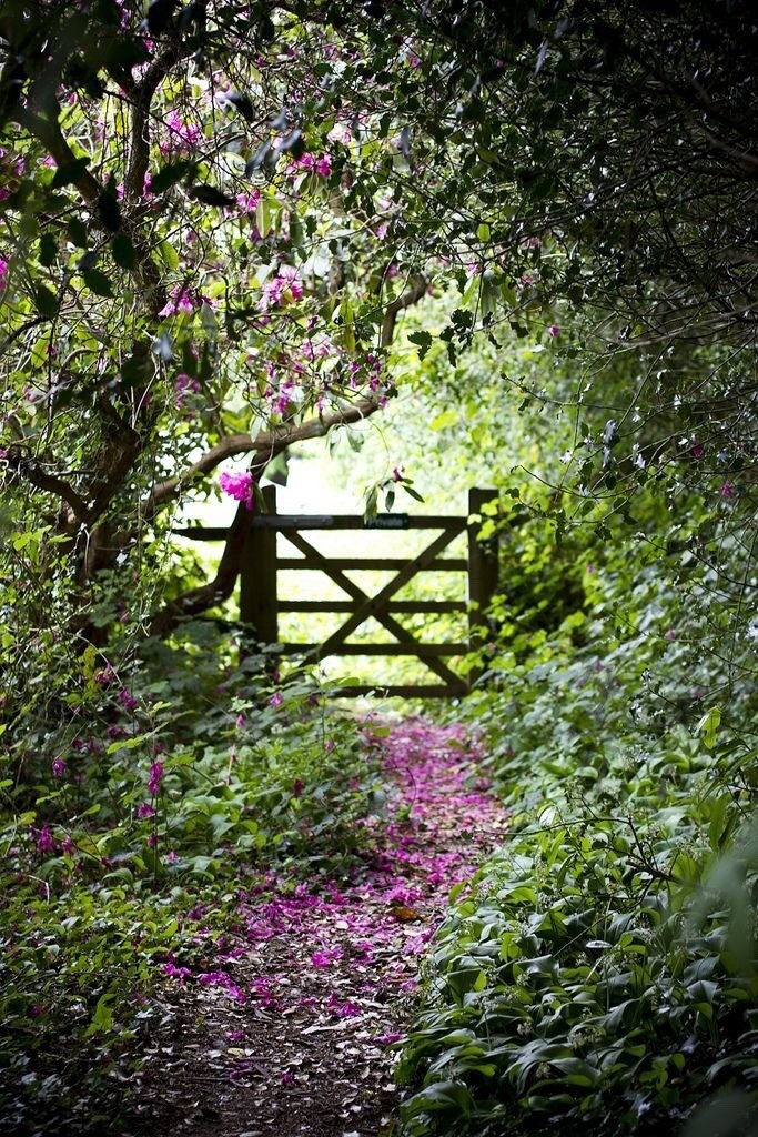 enchanted garden