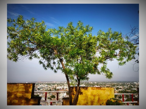 mobile click at masuriya hills jodhpur