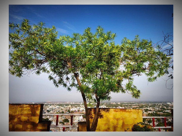 mobile click at masuriya hills jodhpur