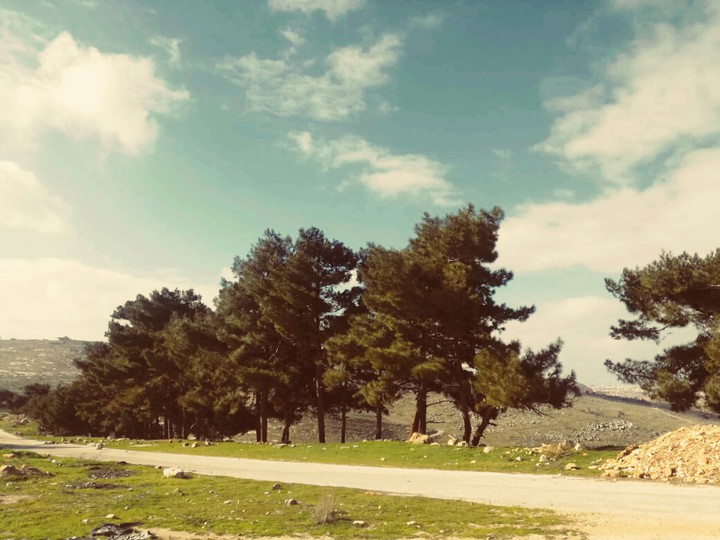 wonderful view