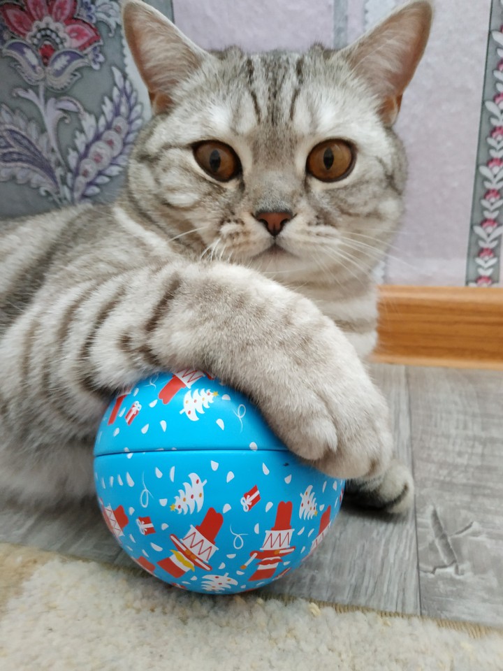 Джемик
